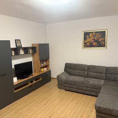 Modernul Apartament De Langa Castel Hunedoara Dış mekan fotoğraf