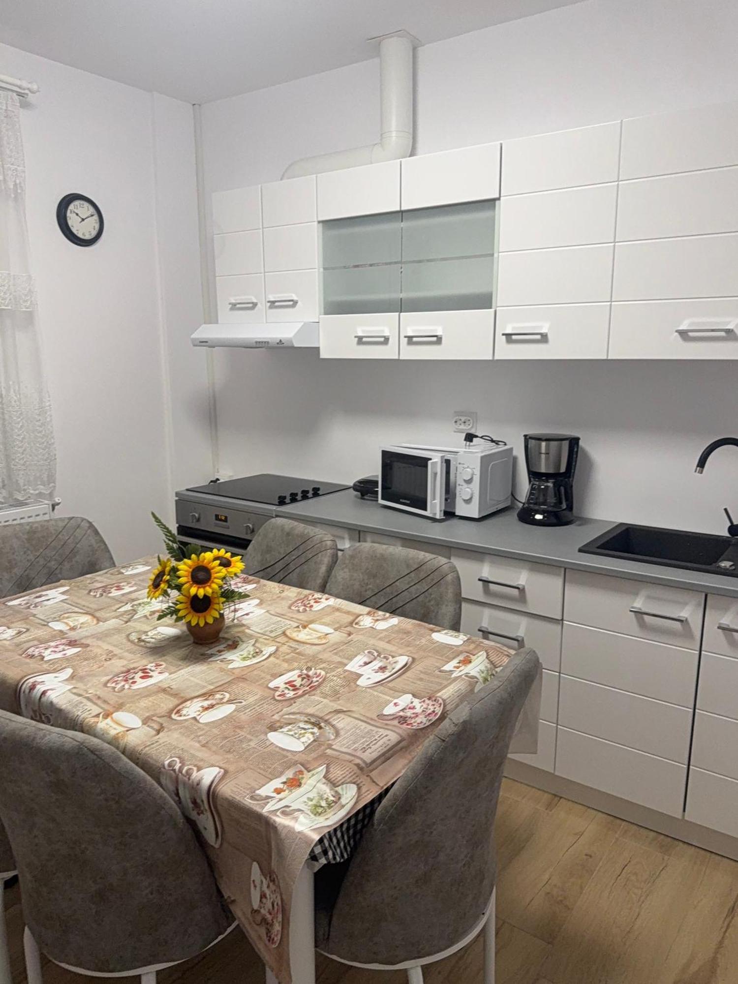 Modernul Apartament De Langa Castel Hunedoara Dış mekan fotoğraf
